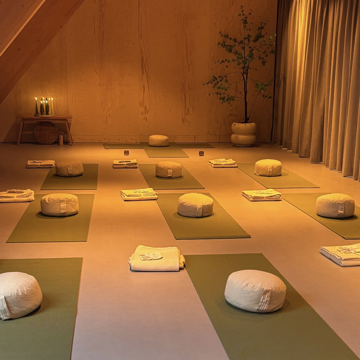 Yoga studio Elfstedenhart